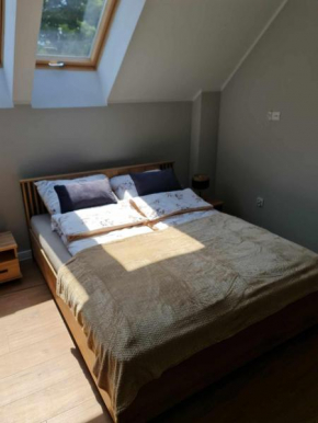 Zamkowa Apartament